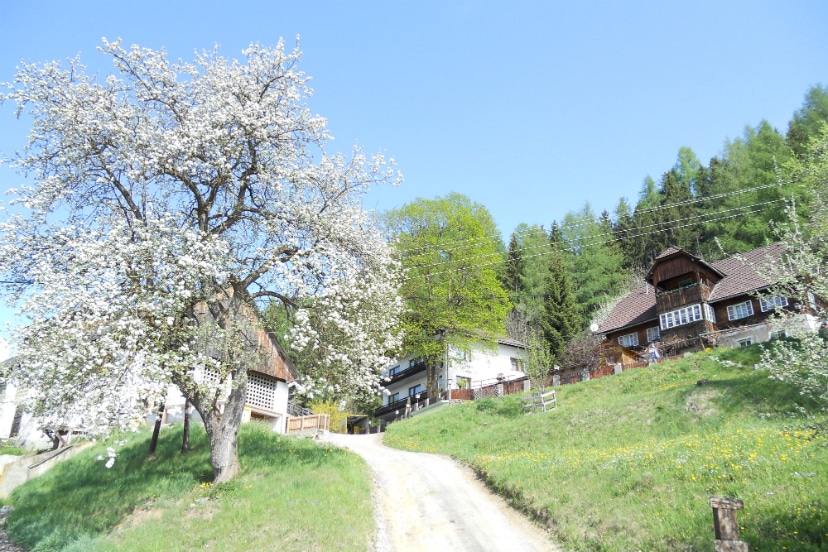 Gasthof Trattner "Waldhof"